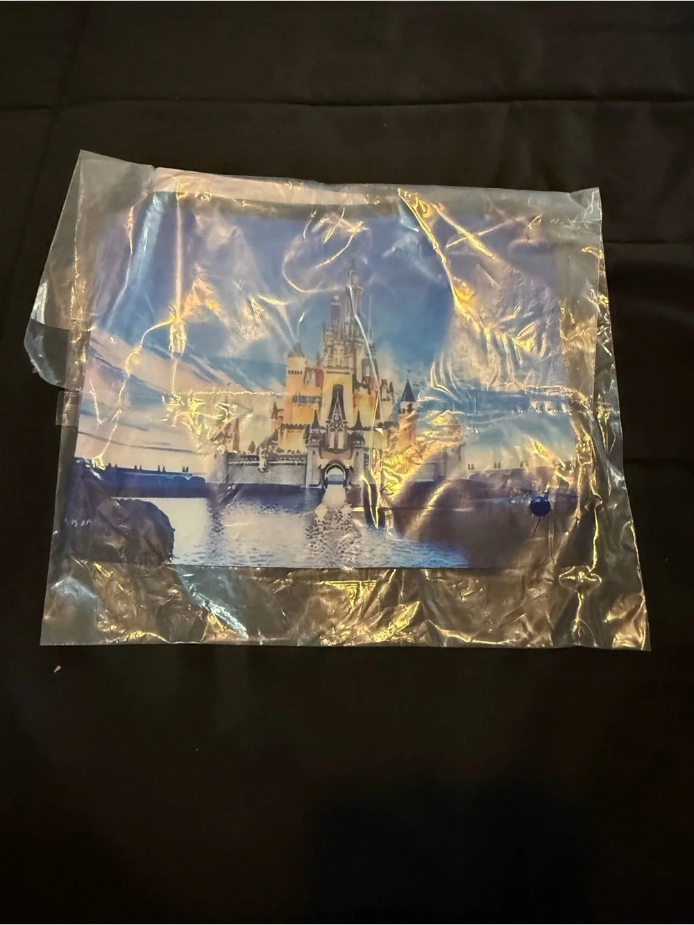 Castle Makeup Bag